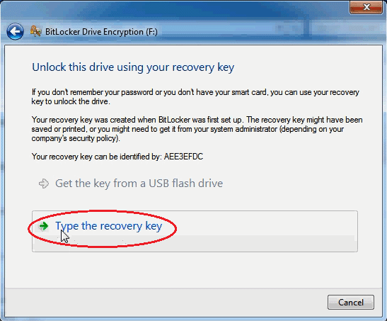 click on type the recovery key