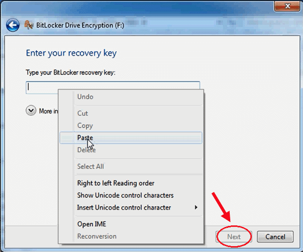 paste the bitlocker recovery key