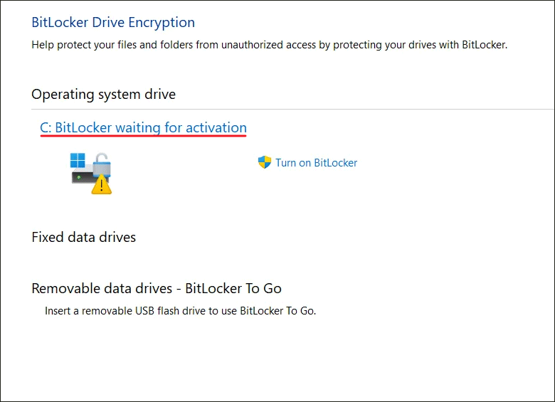 Click Turn on BitLocker