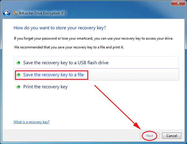 save the recover key to a file