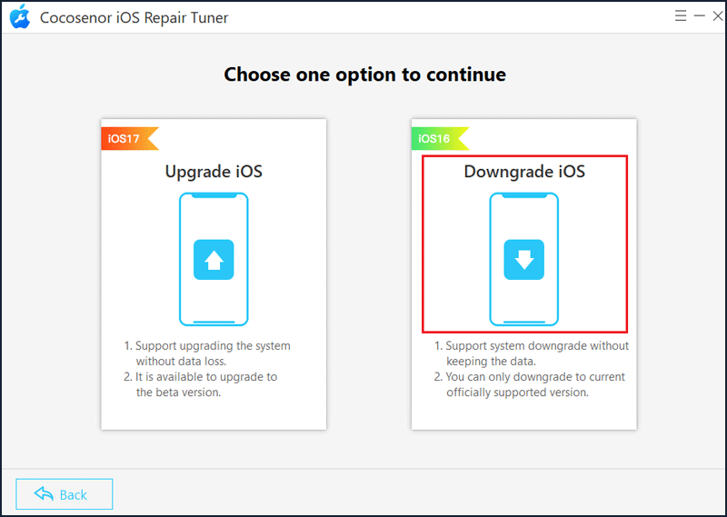 choose Downgrade iOS