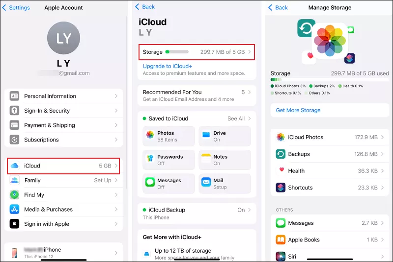 Click iCloud under the profile