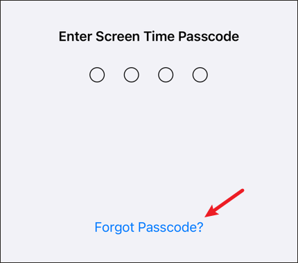 Click Forgot Passcode