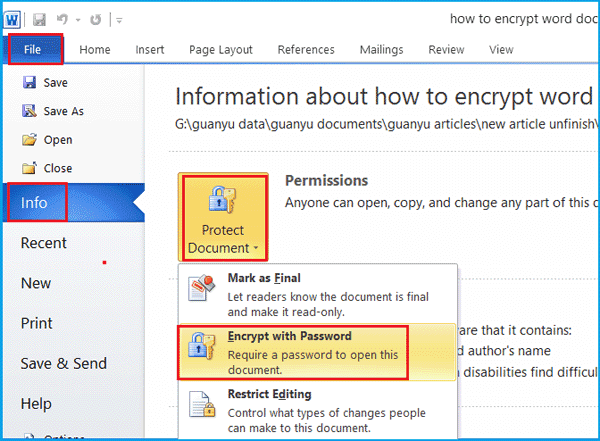 make 2010 word file secure by requiring a password