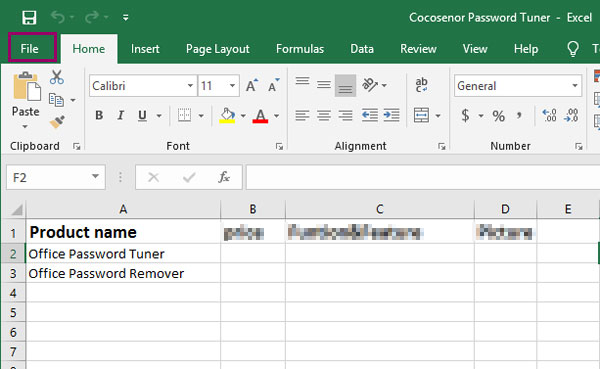 how to put password on excel file