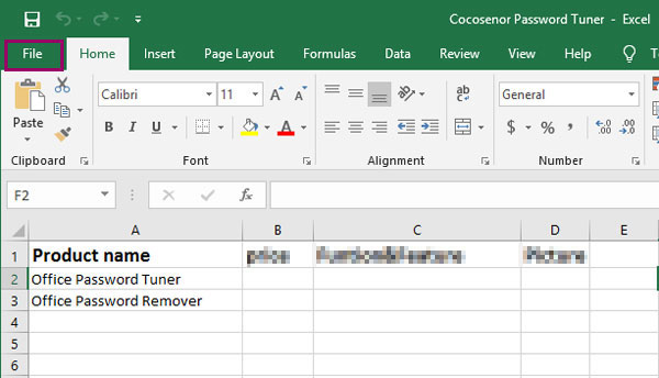 how do i put a password on an excel file