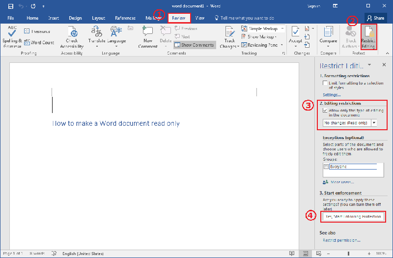 protect word document from editing and copying
