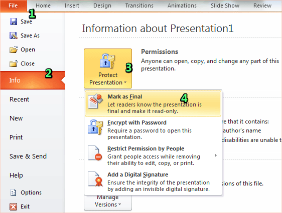 which option makes the presentation read only