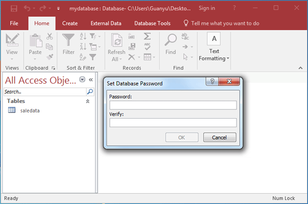 ms access password protect database