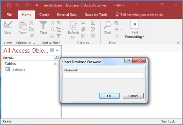free ms access password recovery tool