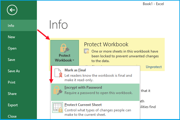 encrypt Excel file 2013 with password