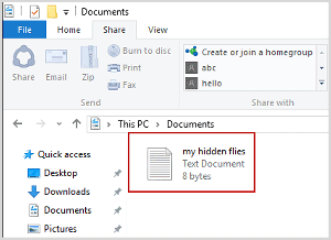 Hide Files 8.2.0 for windows download free