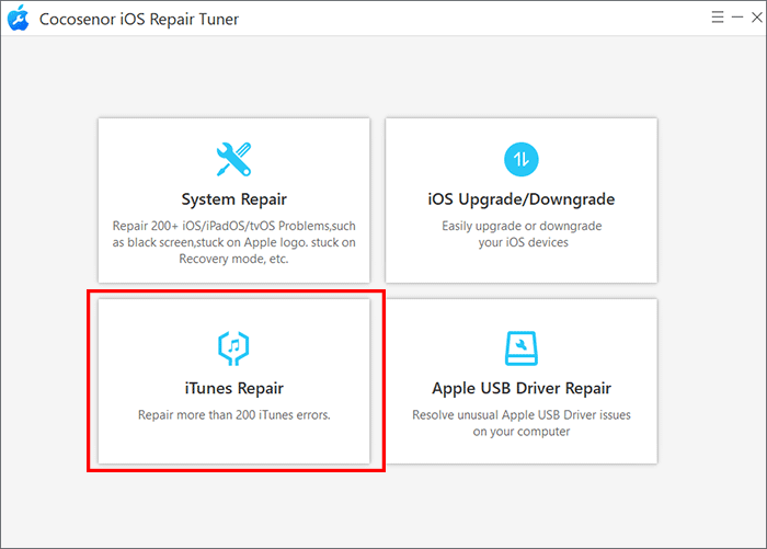 choose iTunes Repair